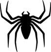 spider exterminator in teaneck new jersey