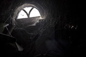 spider webs in attic